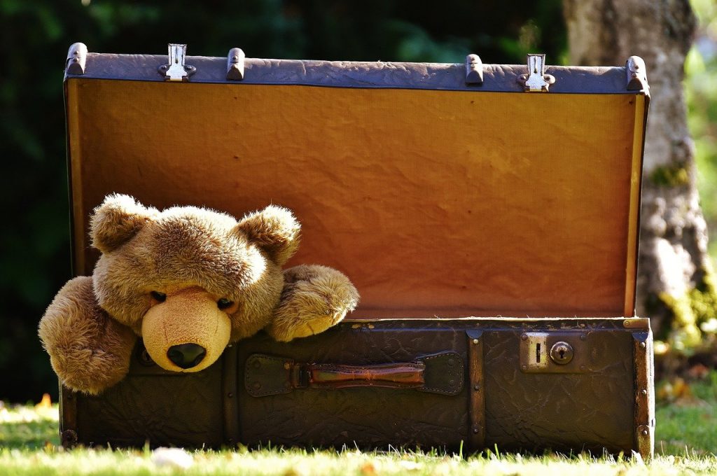 luggage, antique, teddy